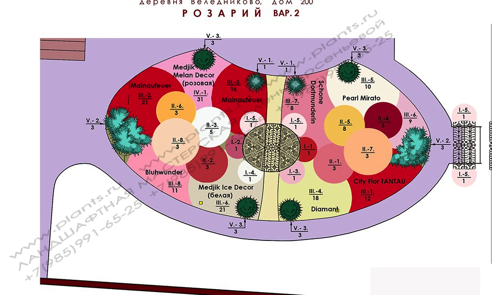 Ландшафтный дизайн розария - вариант 2